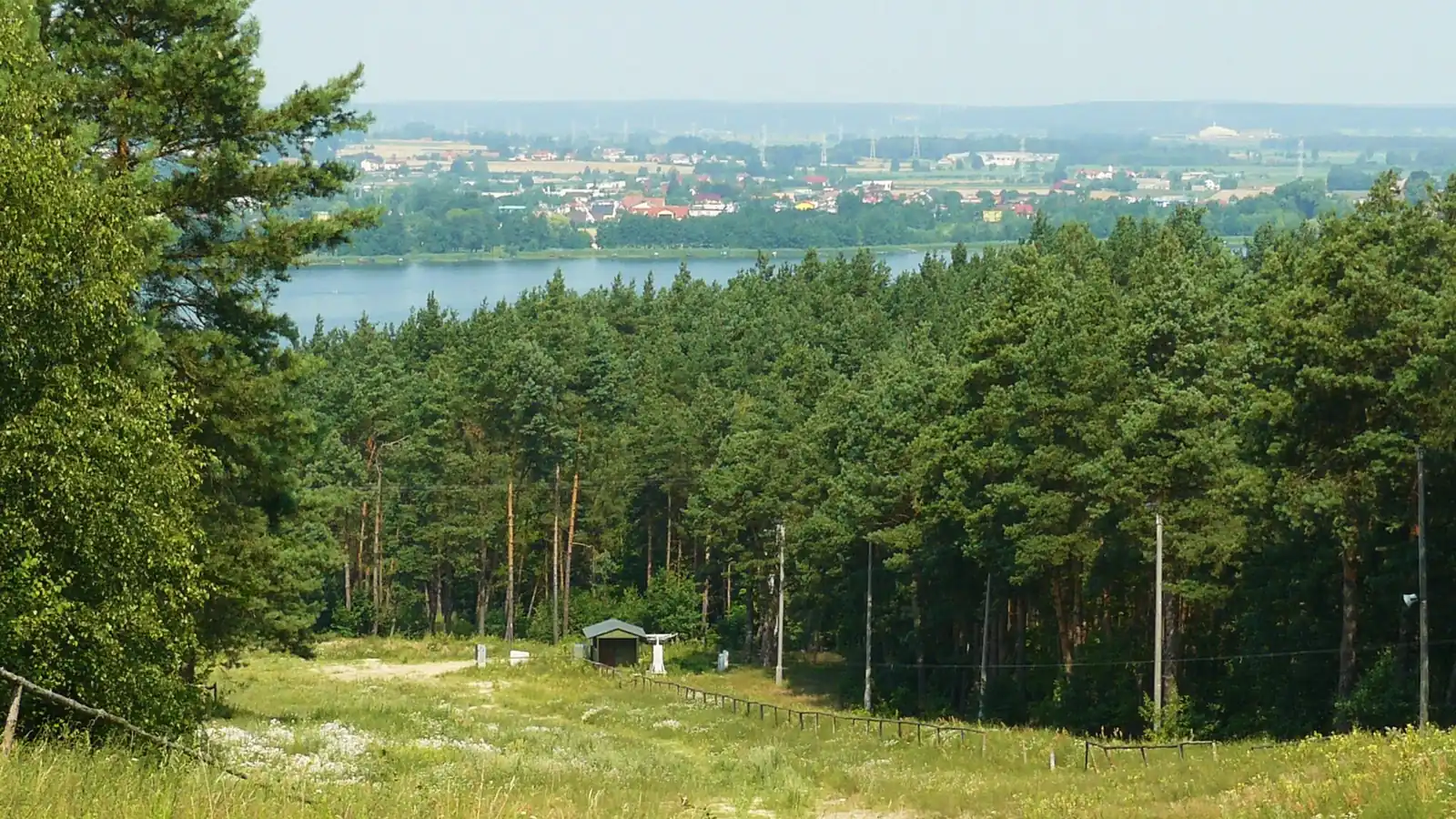 Porośnięty trawą stok między sosnami, w tle jezioro i miasto Chodzież w letnim słońcu