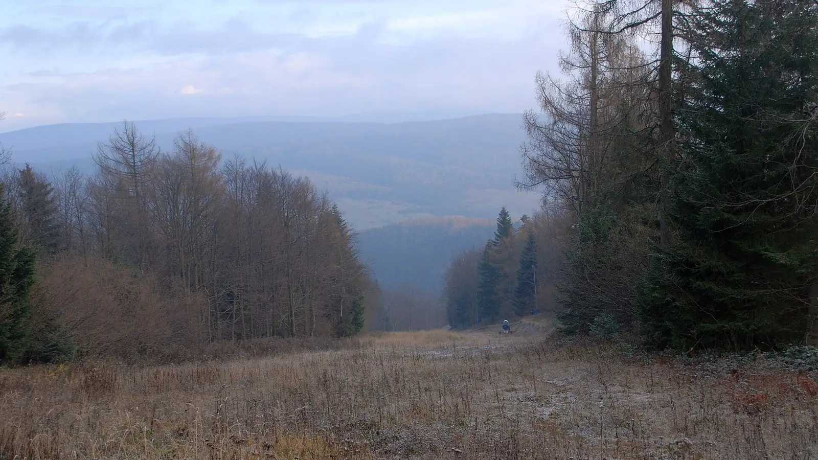 Szeroka przecinka trasy zjazdowej schodzącej lasem w dół, w oddali zalesione wzgórza Beskidu Niskiego