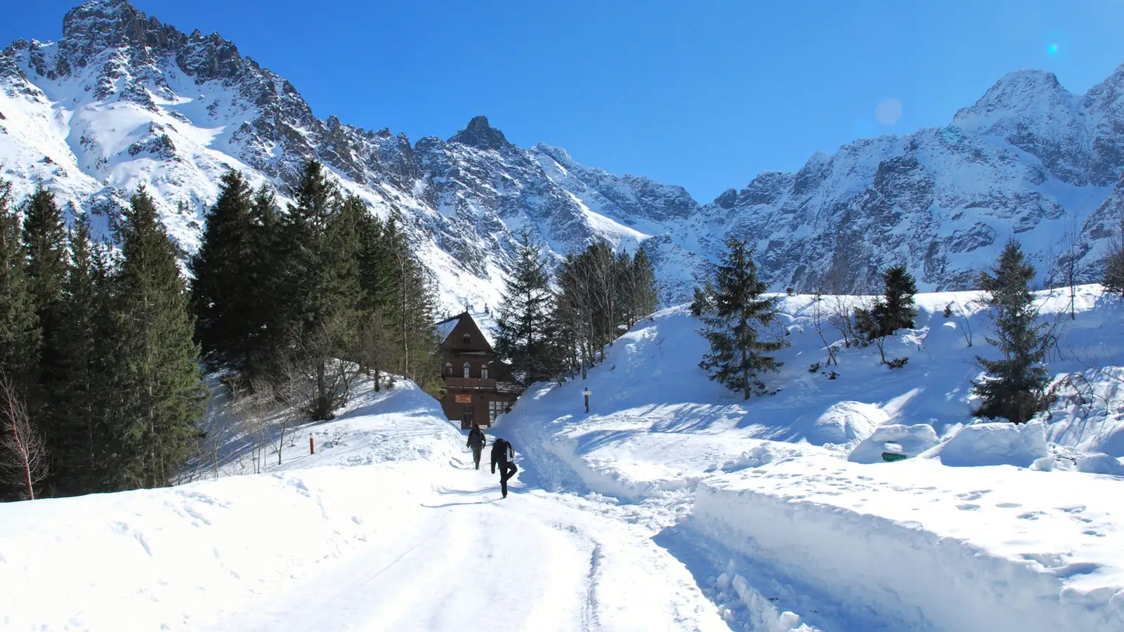 Zaśnieżona droga do Morskiego Oka wśród świerków, w tle ośnieżone turnie Tatr