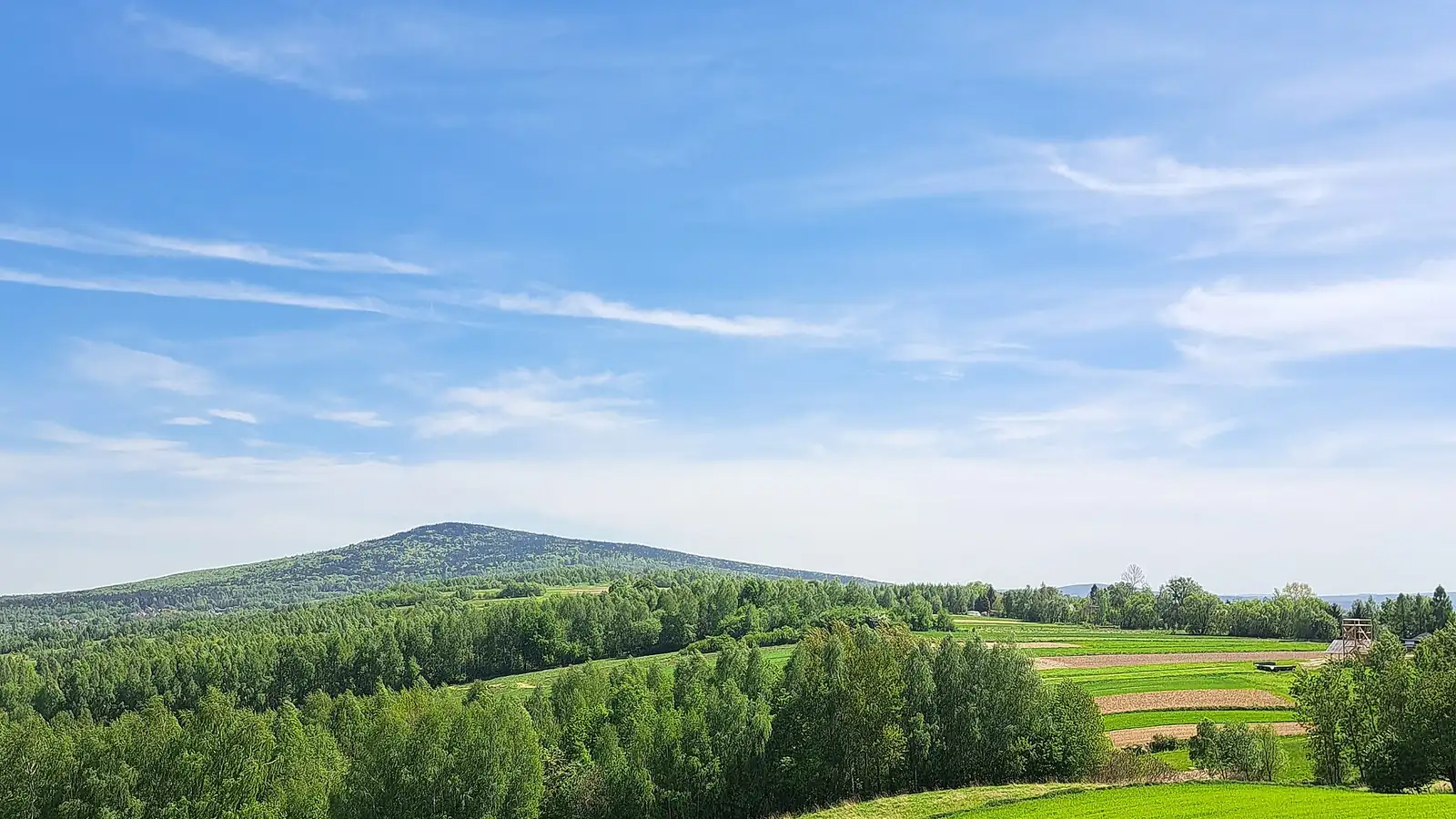 Zalesiony grzbiet Łysicy nad polami i lasami Gór Świętokrzyskich latem